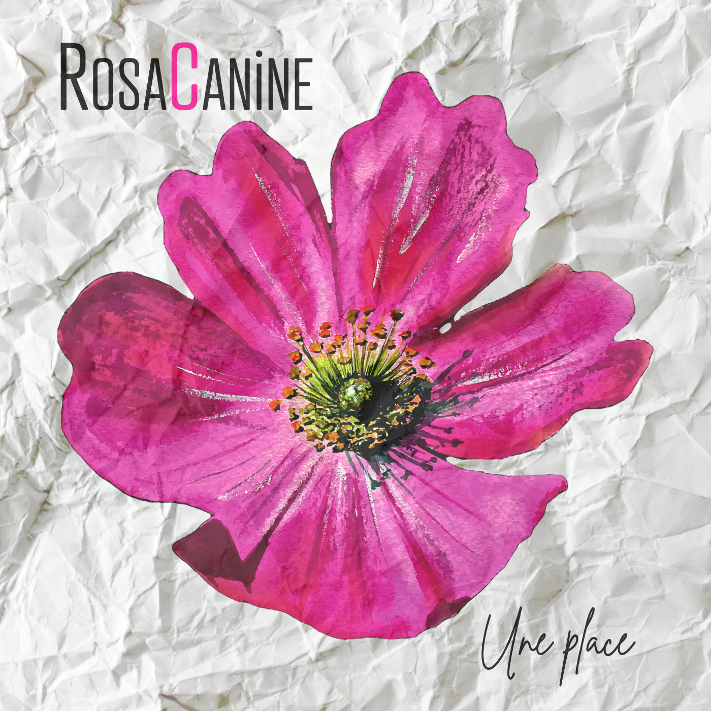 Pochette EP Une Place - Rosacanine